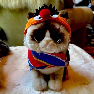Pet Halloween costume “Ernie”
